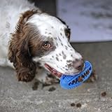 Hundespielzeug,Hundezahnbürste Kauspielzeug für Hunde Zahnbürste Hund inteligenz spielzeug robuster Naturkautschuk und Zahnreinigung,Beschäftigung hund für Große, Mittelgroße,Kleine Hunde - 2