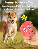 TONGKTAI Hundespielzeug, 8 Stück Quietschendes Spielzeug Weich Gefüllte Plüschbälle Hundeball, Kauspielzeug interaktives Apportierspiel für Welpen,Kleine, Mittelgroße Haustiere Hund - 2