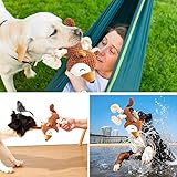 Sqinor Hundespielzeug Plüsch Quietschend Interaktives Stabiles Spielzeug für Große Kleine Hund und Welpen – Kuscheltier für Hunde (Eichhörnchen) - 8