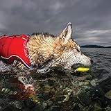 Kurgo Kau Hundespielzeug aus Gummi, Hund schwimmendes Wasserspielzeug, für Pool, Strand oder See, helle Neonfarben, Steine überspringen, Outdoor-Spielzeug für Haustiere, 2 Stück, PVC- und BPA-frei - 6