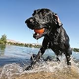 Kurgo Kau Hundespielzeug aus Gummi, Hund schwimmendes Wasserspielzeug, für Pool, Strand oder See, helle Neonfarben, Steine überspringen, Outdoor-Spielzeug für Haustiere, 2 Stück, PVC- und BPA-frei - 8