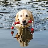 Dog Activity Mot-Long, schwimmt, 20 cm/42 cm - 3