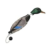 Avery Sporting Dog EZ-Bird, Stockente, Apportierdummy, Hundespielzeug, Hundetraining, schwimmfähig, ca. 28x15x9cm - 2