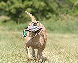 Avery Sporting Dog EZ-Bird, Stockente, Apportierdummy, Hundespielzeug, Hundetraining, schwimmfähig, ca. 28x15x9cm - 3