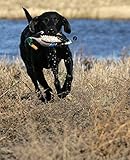 Avery Sporting Dog EZ-Bird, Stockente, Apportierdummy, Hundespielzeug, Hundetraining, schwimmfähig, ca. 28x15x9cm - 4