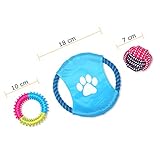 Schramm® Hundespielzeug 10-teilig Kauspielzeug für Welpen & kleine Hunde interaktiv bunt Hunde Spielzeug Tauschspielzeug - 4