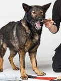 Dingo Gear Beißwurst Hundespielzeug Handarbeit genarbtem Leder für Training K9 IGP IPO Obiedence Hundetraining Ausbildung S00234 - 5