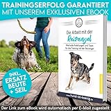 HUND IST KÖNIG® Reizangel Hunde – Profi Reizangel für Hunde für ultimativen Spielspaß & körperliche Auslastung – Hochwertige Reizangel Hund inkl. 2 Tauen + Ersatzseil + eBook – robust & leicht - 6