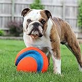 Chuckit! CH251201 Kick Fetch Large - 2