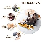 PETTOM 5 Stück Hundespielzeug Set, Hund Kauspielzeug Quietschendes Hundespielzeug Interaktives, Kauen Spielzeug Keine Füllung Hund Trainingsspielzeug für Welpen Kleine Mittlere Hunde - 8