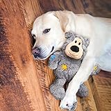 KONG – Wild Knots Bear – Innere Geknotete Seile und Minimale Füllung für Weniger Unordnung (Farbvar.) – Für Kleine/Mittelgroße Hunde, All breeds of dog - 2