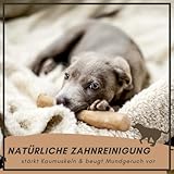 SUPRAVIT Natürlicher Kauknochen aus Kaffeeholz für Welpen XS | Mehr als EIN Holzstäbchen – spannendes Welpen Kauspielzeug & langanhaltende Beschäftigung | Kaustab Kauholz für Welpen - 4