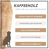 SUPRAVIT Natürlicher Kauknochen aus Kaffeeholz für Welpen XS | Mehr als EIN Holzstäbchen – spannendes Welpen Kauspielzeug & langanhaltende Beschäftigung | Kaustab Kauholz für Welpen - 6