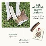 ChronoBalance® Geweih Kaustange M (halbiert) für Hunde, 100% Hirschgeweih als langanhaltendes Hundespielzeug, Hundeleckerli, Zahnpflege, Kauknochen, Kaugeweih, Hundeknochen, aus Abwurfstangen - 8