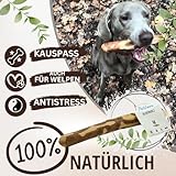 PetLove Kauholz für Hunde aus Olivenholz • Holzknochen als Hundespielzeug • Kauknochen als Zahnpflege & Kauspielzeug für Hund • Größe: M (100-220g) - 2