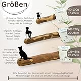 PetLove Kauholz für Hunde aus Olivenholz • Holzknochen als Hundespielzeug • Kauknochen als Zahnpflege & Kauspielzeug für Hund • Größe: M (100-220g) - 4