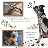 PetLove Kauholz für Hunde aus Olivenholz • Holzknochen als Hundespielzeug • Kauknochen als Zahnpflege & Kauspielzeug für Hund • Größe: M (100-220g) - 6