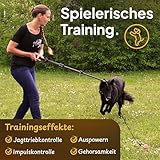 Tierhood – Längenverstellbare Reizangel Hunde – für kleine & große Hunde – max. Länge Rute 1.57m – Hundereizangel zum Auspowern – Hundetraining – inkl. Ebook + Knotenspielzeug + Tragetasche - 2