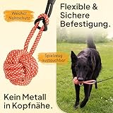 Tierhood – Längenverstellbare Reizangel Hunde – für kleine & große Hunde – max. Länge Rute 1.57m – Hundereizangel zum Auspowern – Hundetraining – inkl. Ebook + Knotenspielzeug + Tragetasche - 6