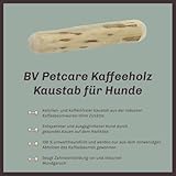 BV Petcare | Kaffeeholz Kaustab, Kau Knochen aus Kaffeeholz, natürliches Hundespielzeug für Hunde – XS – für Hunde bis 10 kg - 4