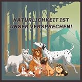 BV Petcare | Kaffeeholz Kaustab, Kau Knochen aus Kaffeeholz, natürliches Hundespielzeug für Hunde – XS – für Hunde bis 10 kg - 6