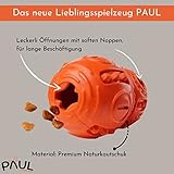 PAUL® Hundespielzeug -NEU- Kauspielzeug für Hunde, robuster Naturkautschuk, füllbar mit Leckerlis, unzerstörbar für normale Kauer, gefrierbar, Zahnpflege, Hundeknochen kleine, mittelgroße, große Hunde - 2