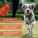 PAUL® Hundespielzeug -NEU- Kauspielzeug für Hunde, robuster Naturkautschuk, füllbar mit Leckerlis, unzerstörbar für normale Kauer, gefrierbar, Zahnpflege, Hundeknochen kleine, mittelgroße, große Hunde - 3