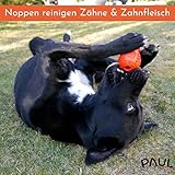 PAUL® Hundespielzeug -NEU- Kauspielzeug für Hunde, robuster Naturkautschuk, füllbar mit Leckerlis, unzerstörbar für normale Kauer, gefrierbar, Zahnpflege, Hundeknochen kleine, mittelgroße, große Hunde - 4