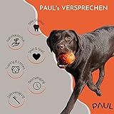 PAUL® Hundespielzeug -NEU- Kauspielzeug für Hunde, robuster Naturkautschuk, füllbar mit Leckerlis, unzerstörbar für normale Kauer, gefrierbar, Zahnpflege, Hundeknochen kleine, mittelgroße, große Hunde - 5