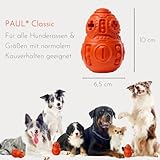 PAUL® Hundespielzeug -NEU- Kauspielzeug für Hunde, robuster Naturkautschuk, füllbar mit Leckerlis, unzerstörbar für normale Kauer, gefrierbar, Zahnpflege, Hundeknochen kleine, mittelgroße, große Hunde - 6