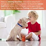 PAUL® Hundespielzeug -NEU- Kauspielzeug für Hunde, robuster Naturkautschuk, füllbar mit Leckerlis, unzerstörbar für normale Kauer, gefrierbar, Zahnpflege, Hundeknochen kleine, mittelgroße, große Hunde - 7