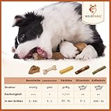 Wildfang Hundekaustab aus Arabica-Kaffeeholz Gr. M - 7