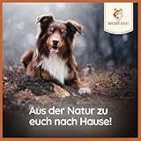 Wildfang Hundekaustab aus Arabica-Kaffeeholz Gr. M - 9