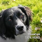 Chewies Kauknochen Hunde-Spielzeug aus Olivenholz für Hunde – 100 % natürliches Hundezubehör risikoarm & langlebig – Größe M: Für Hunde bis 20 kg Körpergewicht - 6