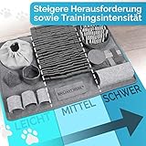 Briliantwerk®️ Schnüffelteppich für Hunde – Extrem widerstandsfähiges Material – 10 Trainingselemente und 3 Schwierigkeitsstufen – Das Intelligenzspielzeug für Hunde jeder Größe (Grau) - 5