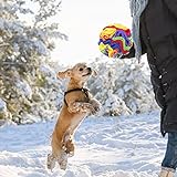 Schnüffelball für Hunde,Schnüffelteppich Schnüffelspielzeug Interaktives Hundespielzeug Intelligenzspielzeug Waschbar Futtermatte Geruchstraining Stressabbau für Kleine Mittelgroße Hunde Haustier,20cm - 7