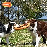 LaRoo Hundefitness-Ring Hundefrisbee, Unzerstörbare Float Hunde Flugscheibe Spielzeug, Sommer Pet Training für Mittel Große und kleine Hunde (Groß-30cm, Orange) - 6