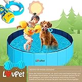 Lovpet® Faltbarer Hundepool Schwimmbecken für Große & Kleine Hunde, inkl. Hundespielzeug (XL) 160cm Ø Höhe 30 cm Faltbare Hunde Pools Planschbecken für Kinder und Hunde, Hundebadewanne Hundebad - 5