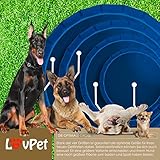 Lovpet® Faltbarer Hundepool Schwimmbecken für Große & Kleine Hunde, inkl. Hundespielzeug (XL) 160cm Ø Höhe 30 cm Faltbare Hunde Pools Planschbecken für Kinder und Hunde, Hundebadewanne Hundebad - 6