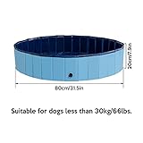 WorthPlanet Hundepool für Große & Kleine Hunde Faltbarer Hundepool Faltbares Hundebadebecken PVC rutschfest Hunde Badewanne Hunde für Garten Innenbereich W280003 - 2