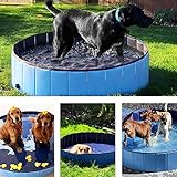 Icelus Hundepool,Faltbarer Hunde Planschbecken Swimmingpool Katzen Hundebadewanne Pool Für Kinder Hund Katze PVC Rutschfester Haustier Badewan mit Haustier-Badehandschuhen,Haustier-Nagelknipser - 6