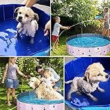 Icelus Hundepool,Faltbarer Hunde Planschbecken Swimmingpool Katzen Hundebadewanne Pool Für Kinder Hund Katze PVC Rutschfester Haustier Badewan mit Haustier-Badehandschuhen,Haustier-Nagelknipser - 7