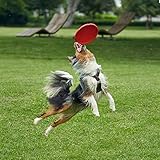 Vivifying Hundefrisbee, 2 Stück 18cm Frisbee Hund aus Natürlichem Kautschuk für Land und Wasser (Grün + Rot) - 6