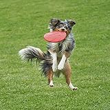 Vivifying Hundefrisbee, 2 Stück 18cm Frisbee Hund aus Natürlichem Kautschuk für Land und Wasser (Grün + Rot) - 7