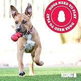 KONG – Flyer – Robustes Hundefrisbee aus Naturkautschuk – Für Kleine Hunde - 7