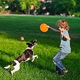 3 Stück Hundefrisbees,hundespielzeug Frisbee,Gummi Frisbee,Hunde Scheiben, perfekt für Hundetraining, Werfen, Fangen und Spielen - 2