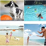 3 Stück Hundefrisbees,hundespielzeug Frisbee,Gummi Frisbee,Hunde Scheiben, perfekt für Hundetraining, Werfen, Fangen und Spielen - 7