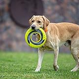 SKIPDAWG Frisbee, Hundespielzeug, Flugscheibe, Wurfring, Disc - 3