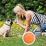 3 Stück Hund Frisbees, Haustier fliegenden Untertasse, Gummi fliegende Scheibe, interaktive Outdoor-Spielzeug, 7 Zoll / 18 cm, perfekt für Hund werfen, Training, spielen und fangen - 7