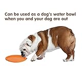 Vivifying Hundefrisbee, 2 Stück 15cm Hunde-Frisbee aus Natürlichem Kautschuk für Land und Wasser (Grün + Orange) - 4